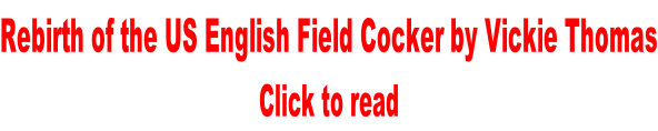 Rebirth of the US English Field Cocker by Vickie Thomas Click to read
